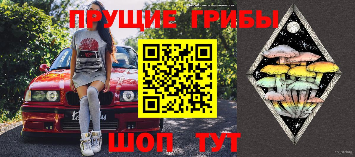 Псилоцибиновые грибы прущие грибы  Вход с VPN  Вичуга 